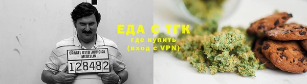 гашик Горняк