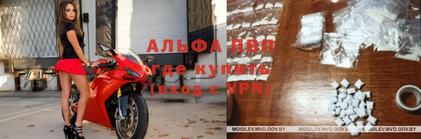 прущие крисы Горно-Алтайск